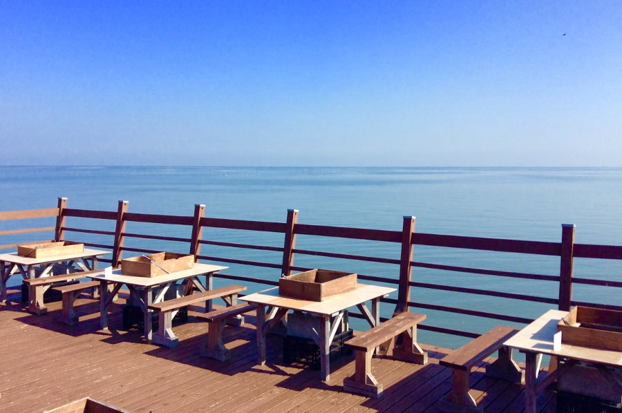 青空の下で有明海の景色と潮風を感じながらカキ焼きができます