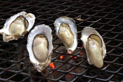 有明海で育った大粒な竹崎カキは11月下旬ごろから提供予定です
