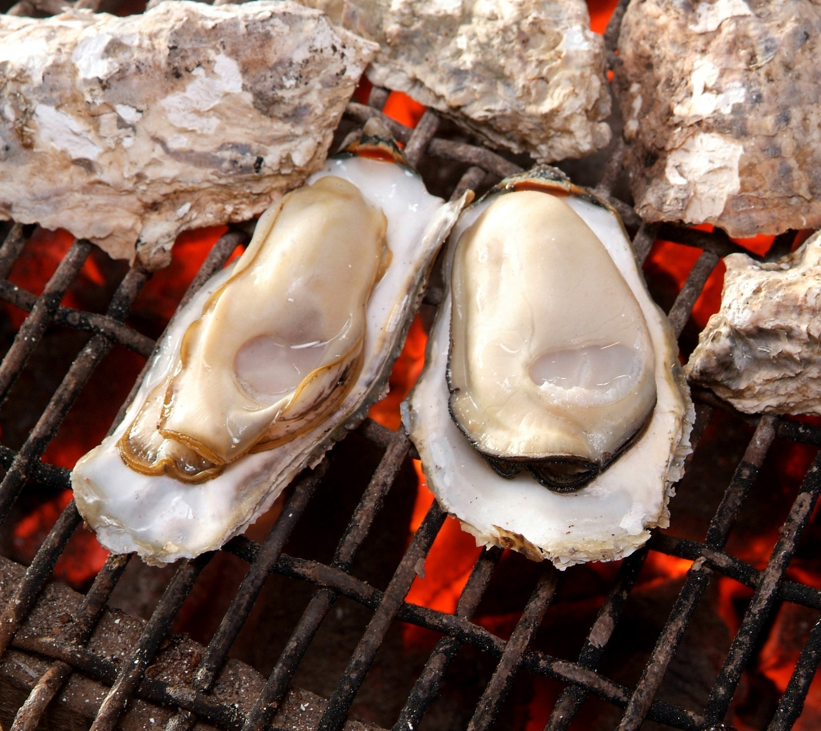 身がふっくらとして旨みたっぷりです 身がふっくらとして旨みたっぷり