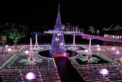 100万球の光が園内を彩ります