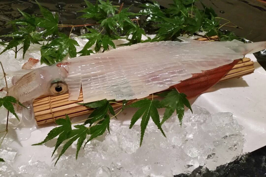 呼子いかの活き造りは天ぷらでも楽しめます