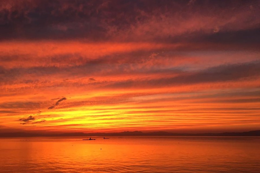 店舗の裏手にある橘湾。夕陽をみながらのジェラートは格別です