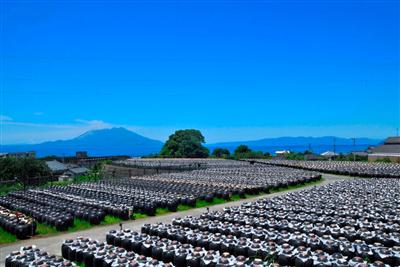 レストランからは壺畑と桜島が望めます