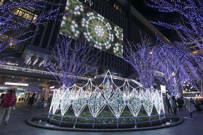 約80万球のロマンチックな光に包まれる「光の街・博多」