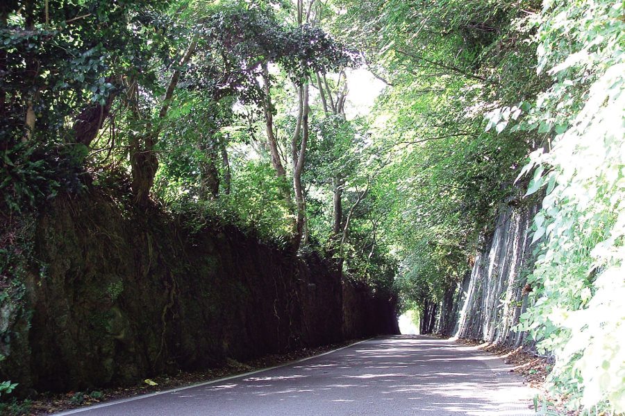 県道201号線には他にプラットホームの跡が残る場所