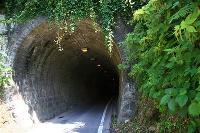 かつての鉄道トンネルをそのまま一般道のトンネルとして利用
