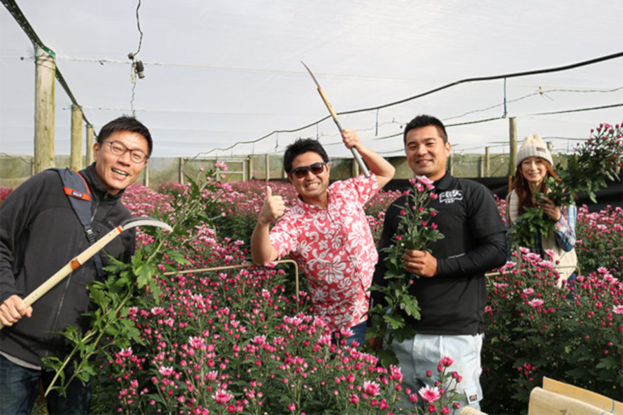 毎年、夏と冬に行われるイベント「あまみシマ博覧会」 毎年、夏と冬に行われるイベント「あまみシマ博覧会」