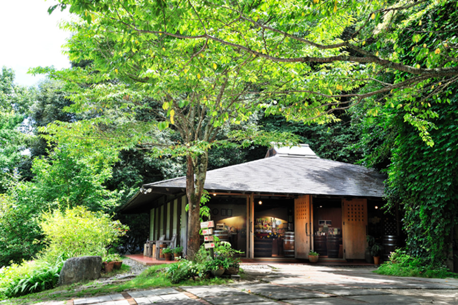 「ショップ・みのう」で試飲してお気に入りワインをぜひ手土産に 「ショップ・みのう」で試飲してお気に入りワインをぜひ手土産に