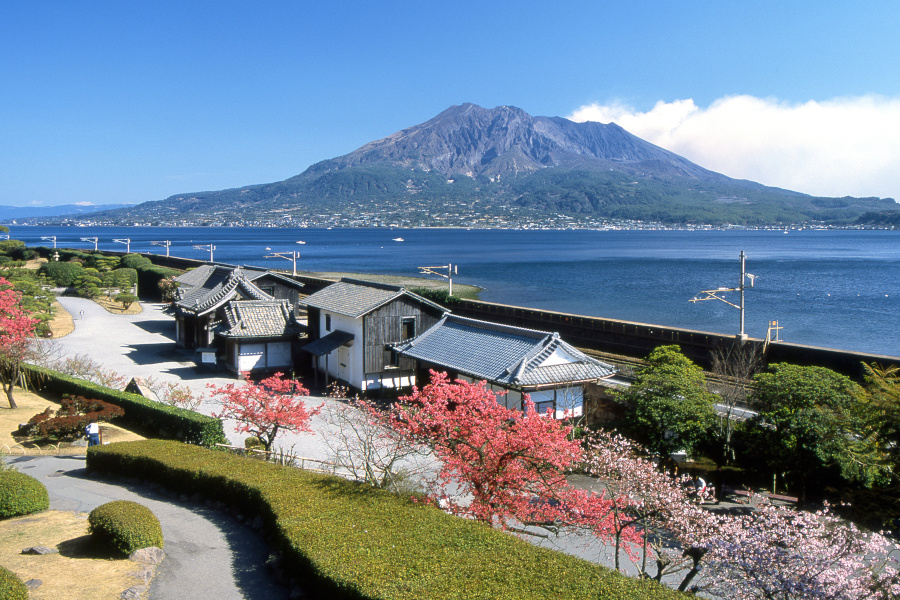 桜島、錦江湾が一望できる仙巌園 桜島、錦江湾が一望できる仙巌園