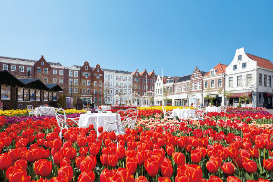 ハウステンボスの「チューリップ祭」(c)ハウステンボス ハウステンボスの「チューリップ祭」