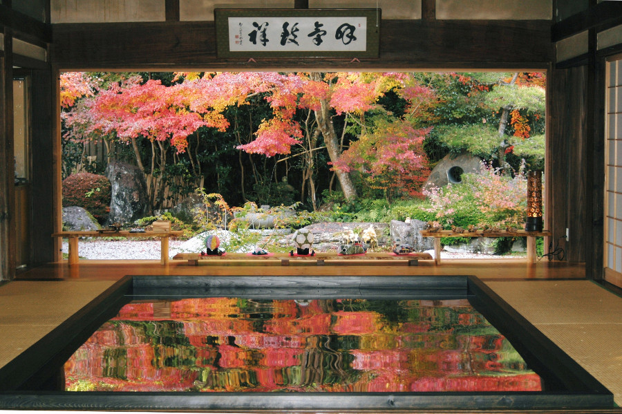 紅葉の時期に期間限定で楽しめる「逆さ紅葉」 紅葉の時期に期間限定で楽しめる「逆さ紅葉」