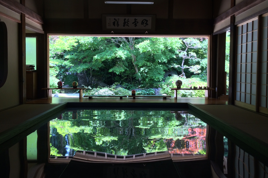 初夏には「逆さ新緑」が楽しめます