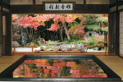 紅葉の時期に期間限定で楽しめる「逆さ紅葉」