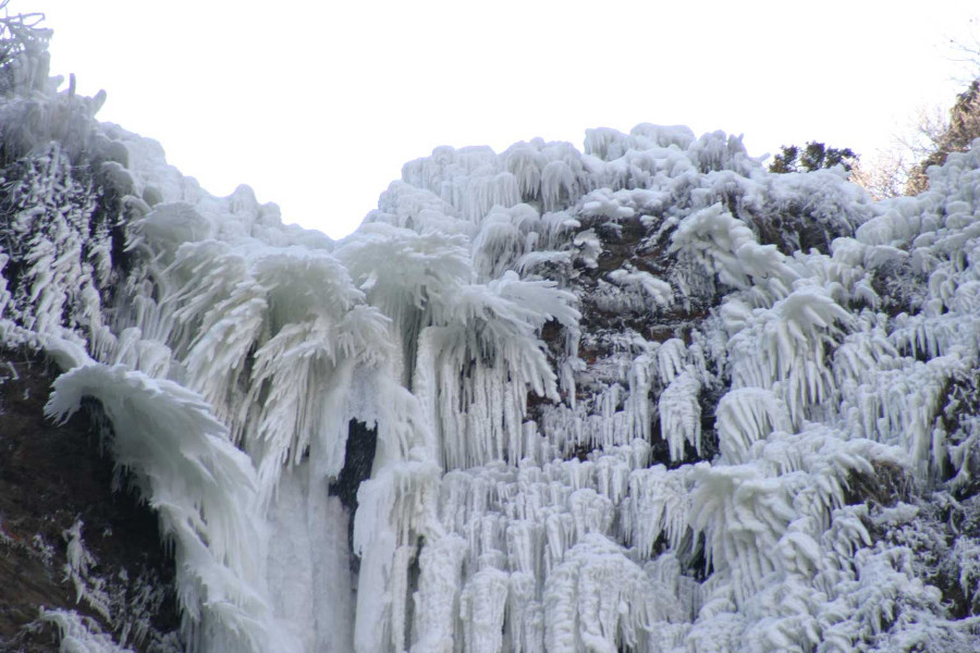 滝上部は水しぶきがそのまま凍り「氷の華」となっています 滝上部は水しぶきがそのまま凍り「氷の華」となっています