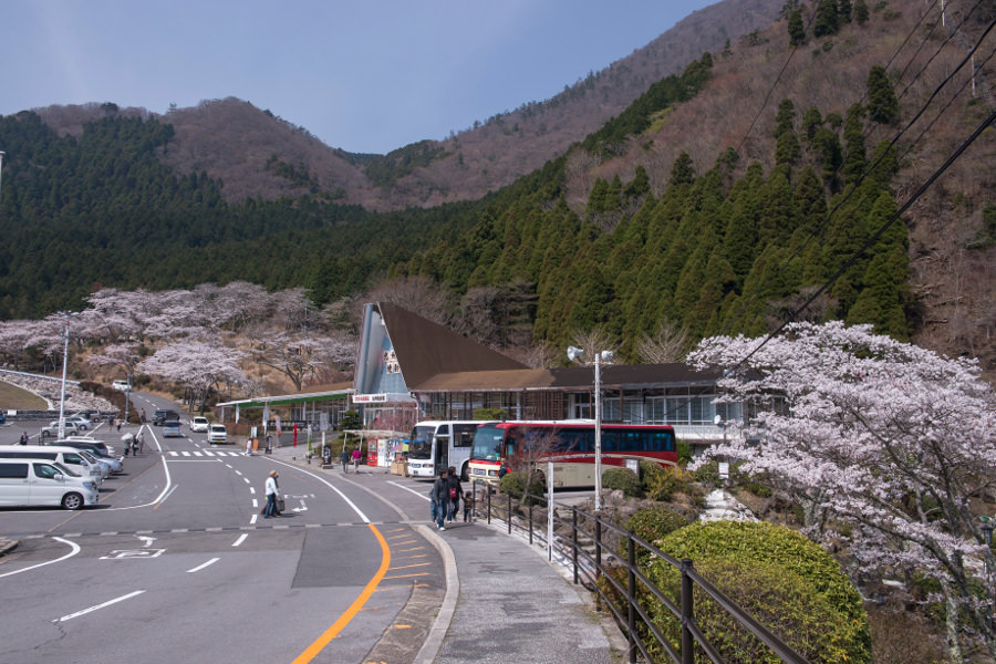 ロープウェイ大駐車場前には九州焼酎館があり、約300銘柄以上取り揃えています ロープウェイ大駐車場前には九州焼酎館があります