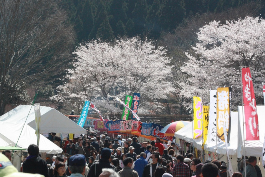 桜の名所・市房ダム湖で行われる「湯山温泉 桜まつり」