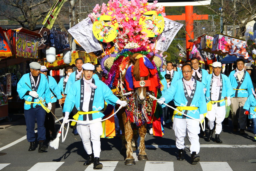 鹿児島を代表する祭り「初午祭」 鹿児島を代表する祭り「初午祭」
