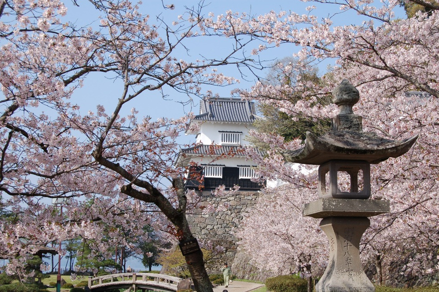 大村市で開催される「おおむら花まつり」 大村市で開催される「おおむら花まつり」