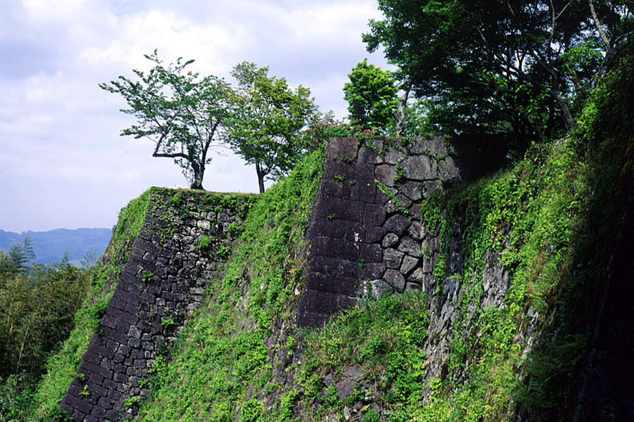 苔に覆われた石垣の上からは久住連山や城下町を一望できます