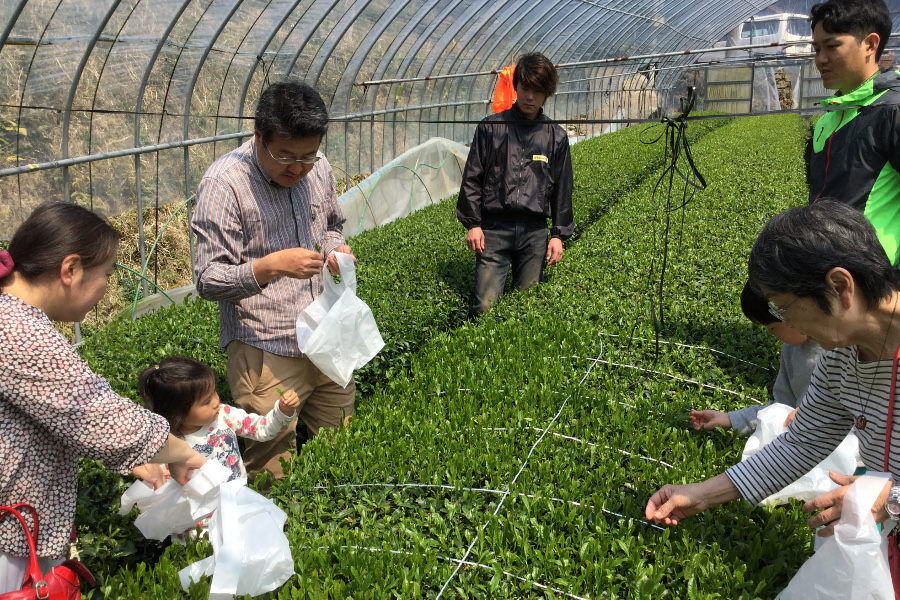 手揉み実演・体験ができます 手揉み実演・体験ができます