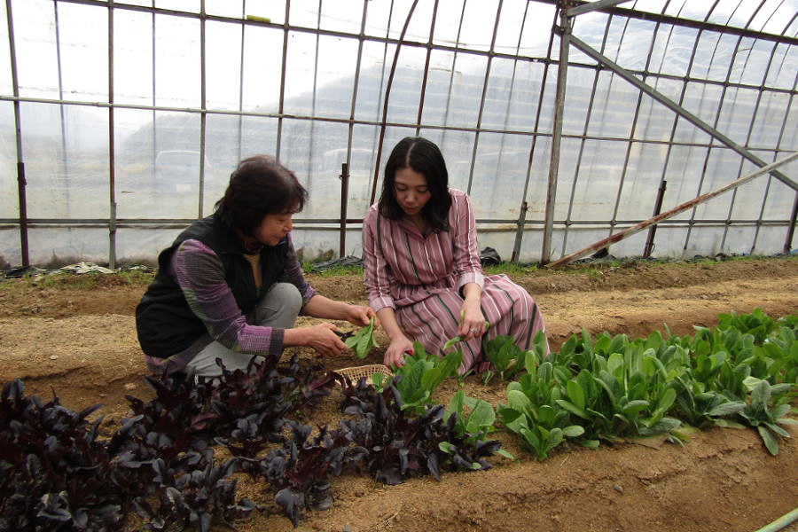 気軽に土に触れられる「農業体験」も 気軽に土に触れられる「農業体験」も