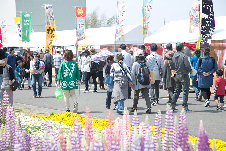 霧島ファクトリーガーデンでは季節の花が咲きます 霧島ファクトリーガーデンでは季節の花が咲きます