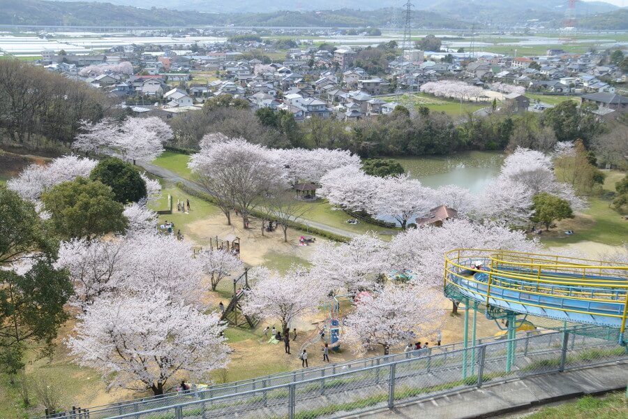 岡岳公園