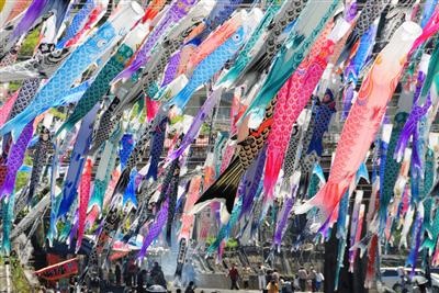 30年以上続く鯉のぼり、杖立温泉が発祥地と言われています