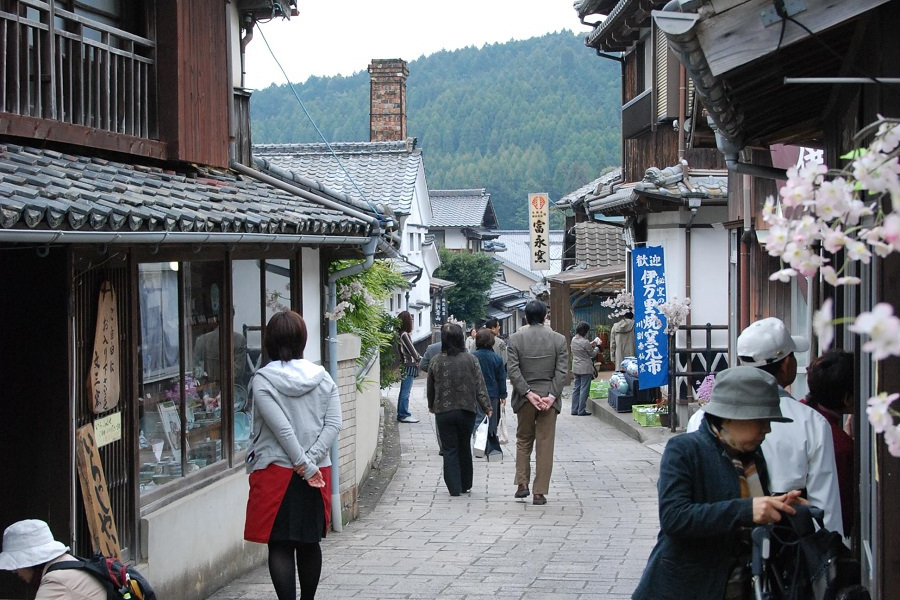 春の景色を堪能しながらゆっくり散策できます 春の景色を堪能しながらゆっくり散策できます