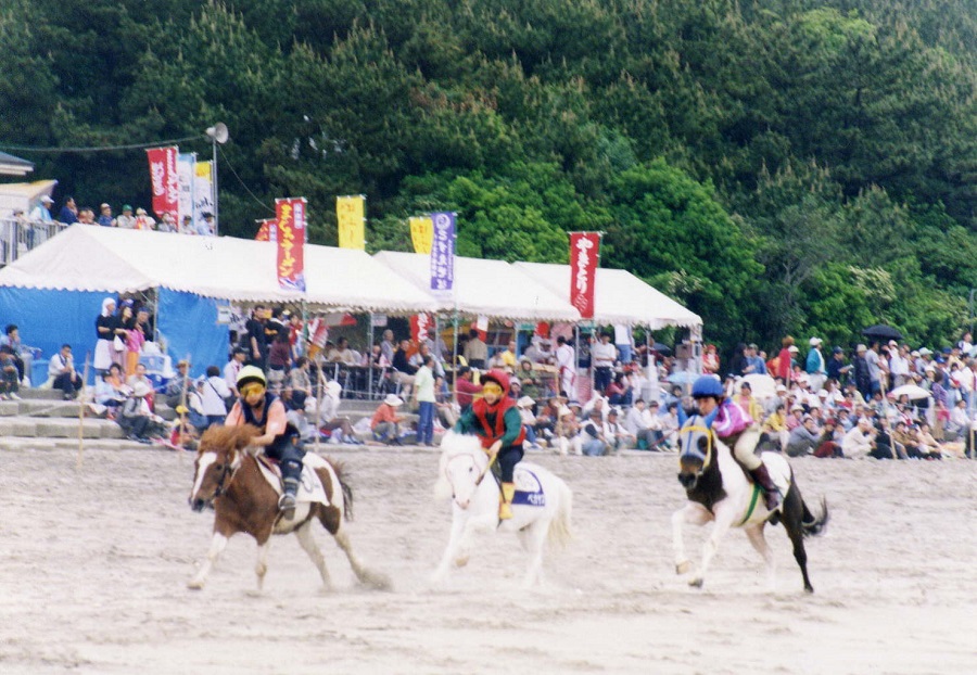 ユーモラスなポニーのレース ユーモラスなポニーのレース