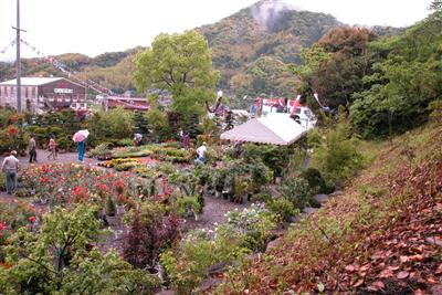 植木の産地・古賀地区で行われる「古賀植木まつり」