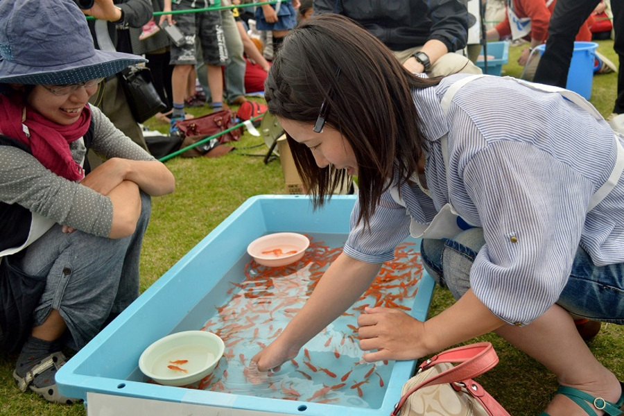 九州金魚すくい選手権大会では、真剣勝負が繰り広げられます