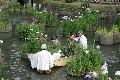 香椎宮で行われる「扇としょうぶ祭り」