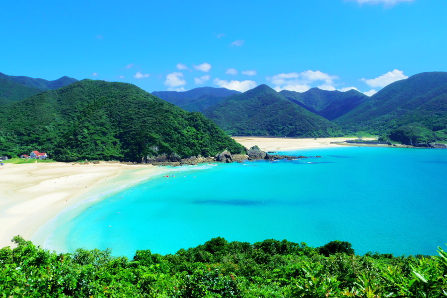 魚藍観音展望所からの高浜海水浴場 魚藍観音展望所からの高浜海水浴場