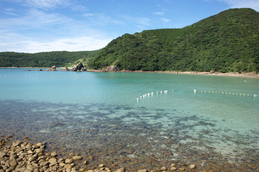 岩場には美しい小魚も見られます