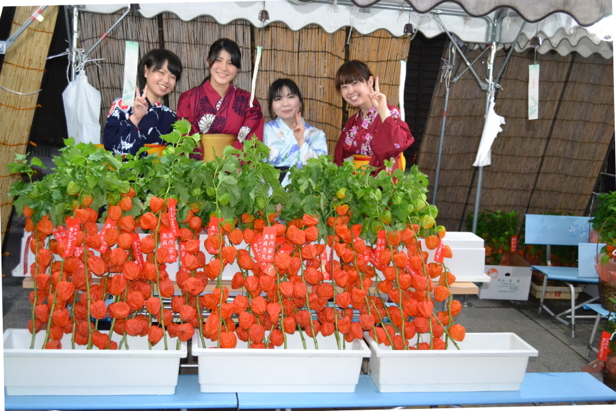 縁起物のほおずきで今夏の厄除けを祈願