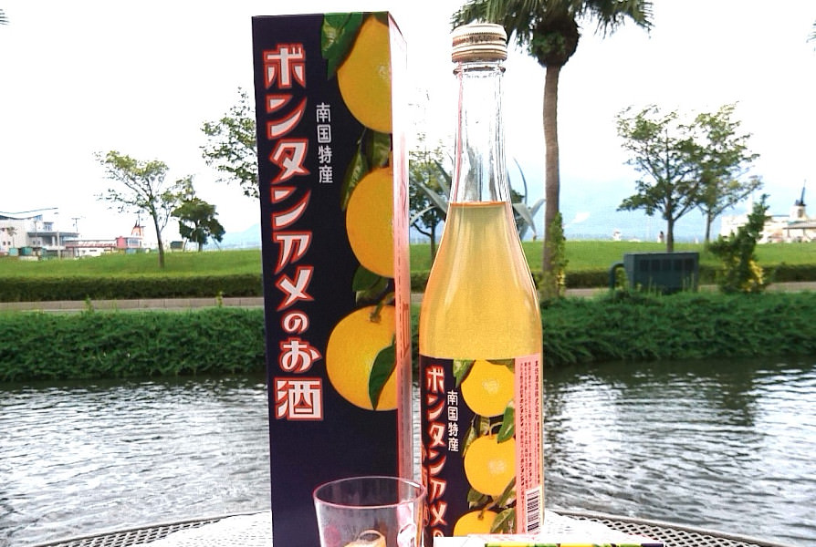 南国にピッタリの爽やかなお酒(撮影協力/ドルフィンポート薩摩酒蔵) 南国にピッタリの爽やかなお酒(撮影協力/ドルフィンポート薩摩