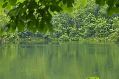 半月湖畔自然公園