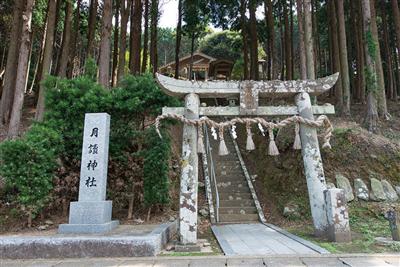 木々に太陽の光が遮られ、昼でも薄暗い神秘的な佇まい