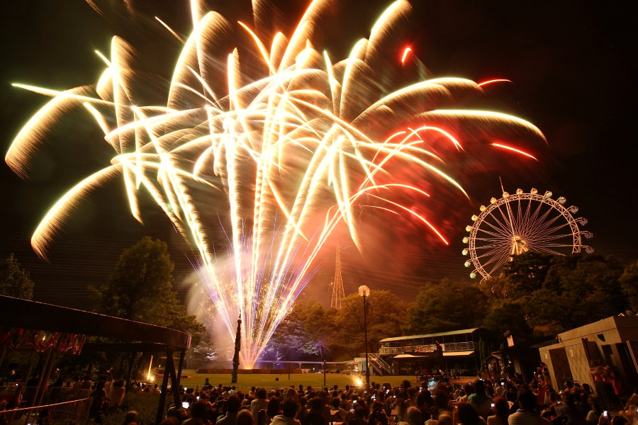 到津の森公園「星降る花火ファンタジー」で夏休みの思い出作り 到津の森公園「星降る花火ファンタジー」で夏休みの思い出作り