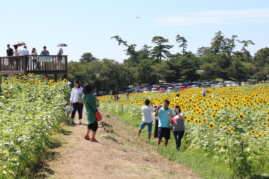 例年多くの人でにぎわいます 例年多くの人でにぎわいます
