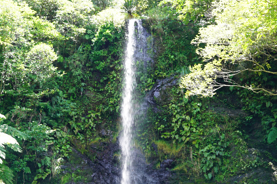 豊かな自然のなかにふりそそぐ、白く細い神聖な滝 豊かな自然のなかにふりそそぐ、白く細い神聖な滝