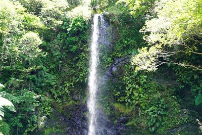 豊かな自然のなかにふりそそぐ、白く細い神聖な滝