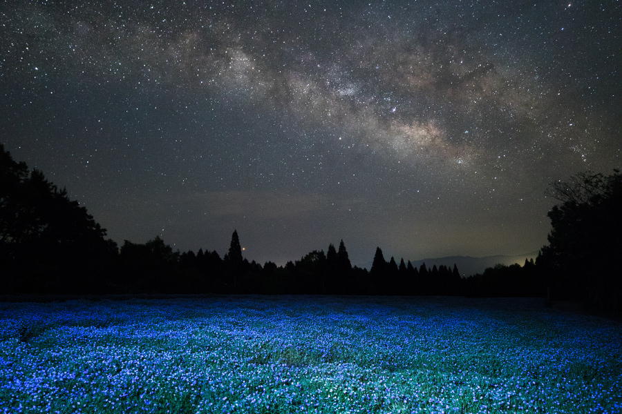 久住高原は九州有数の星空スポット。天然のプラネタリウムともいわれています 久住高原は九州有数の星空スポット