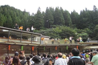 餅まき大会