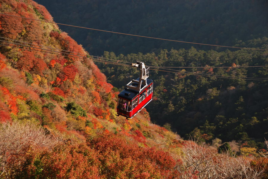赤や黄色に色づく仁田峠 雲仙