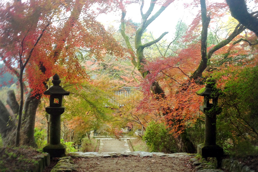 筑前の小京都、秋月 秋月