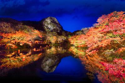 幻想的な世界へと姿を変える「たまゆらの夕べ」
