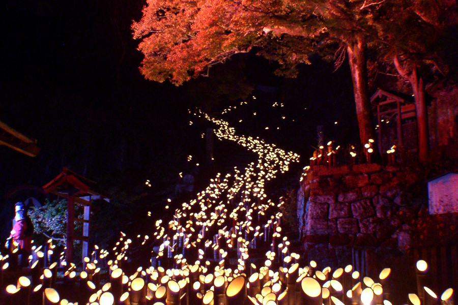 約3000本の竹灯籠が並ぶ「十六羅漢」。観音寺の石段と羅漢像の影が印象的 約3000本の竹灯籠が並ぶ「十六羅漢」