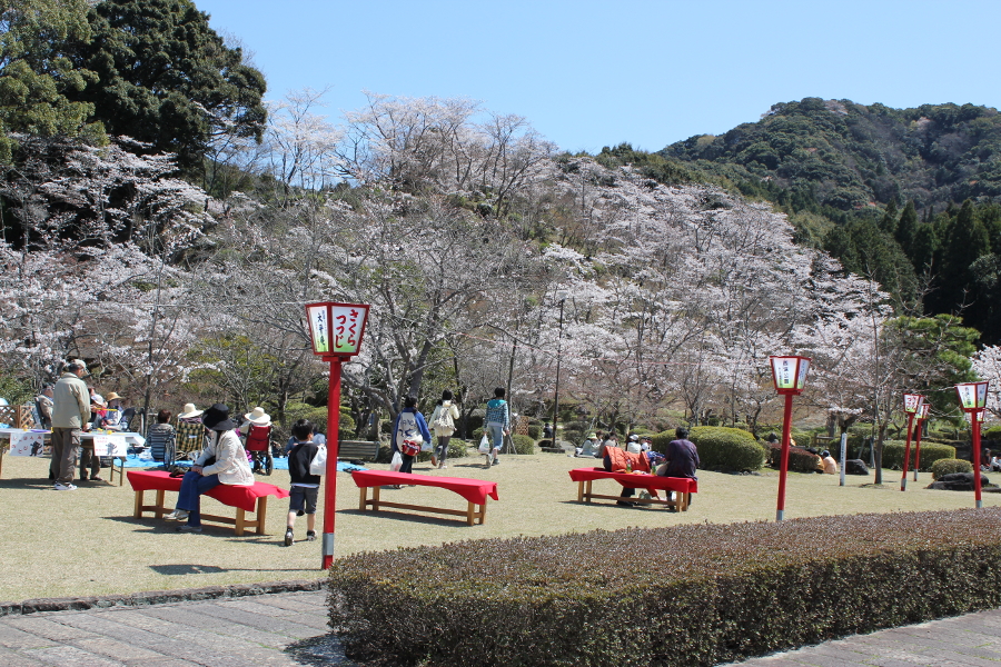 桜の名所としても知られる西渓公園